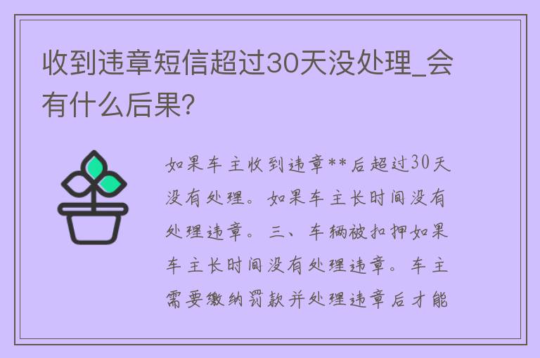 收到违章**超过30天没处理_会有什么后果？