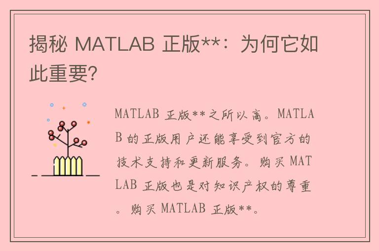 揭秘 MATLAB 正版**：为何它如此重要？