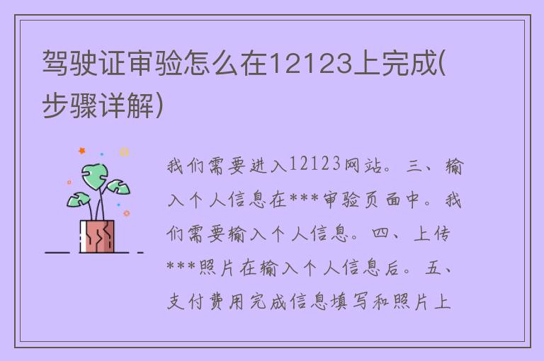 ***审验怎么在12123上完成(步骤详解)