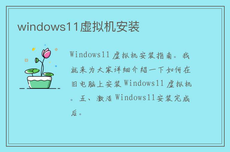 windows11虚拟机安装