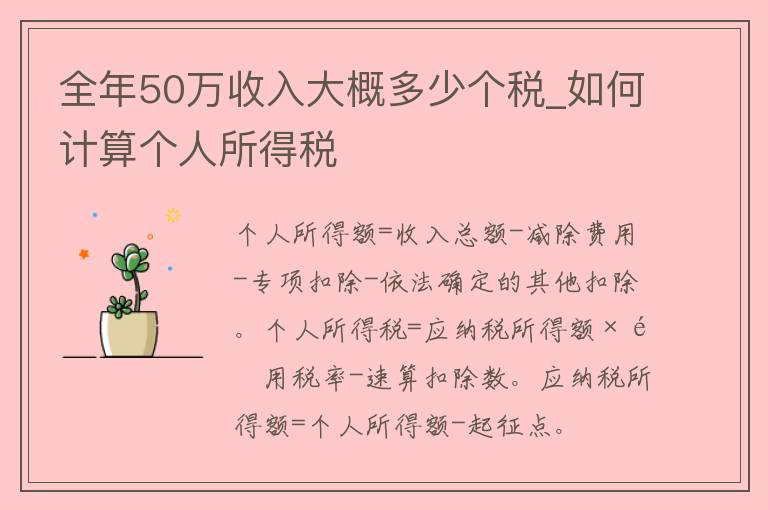 全年50万收入大概多少个税_如何计算个人所得税