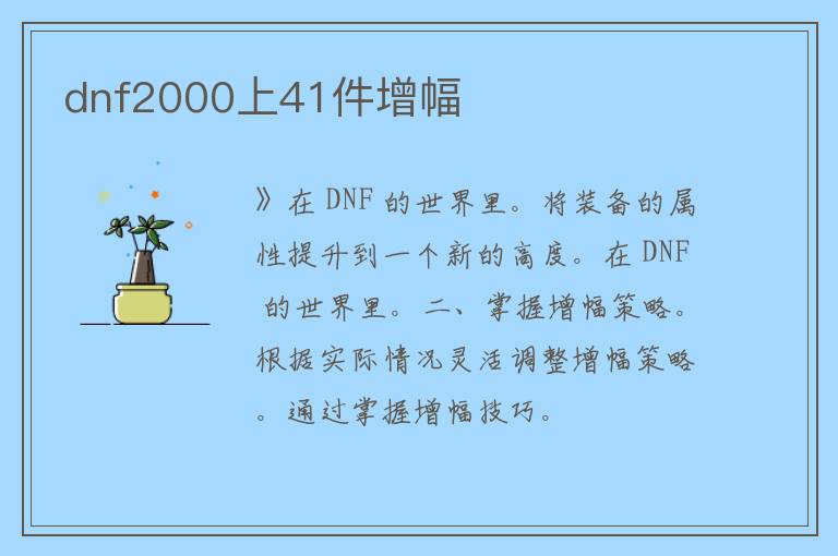 dnf2000上41件增幅