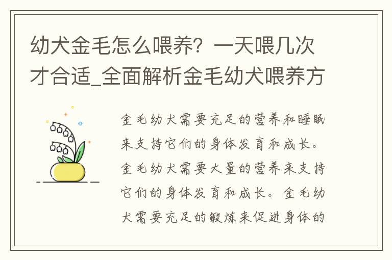 幼犬金毛怎么喂养？一天喂几次才合适_全面解析金毛幼犬喂养方法。