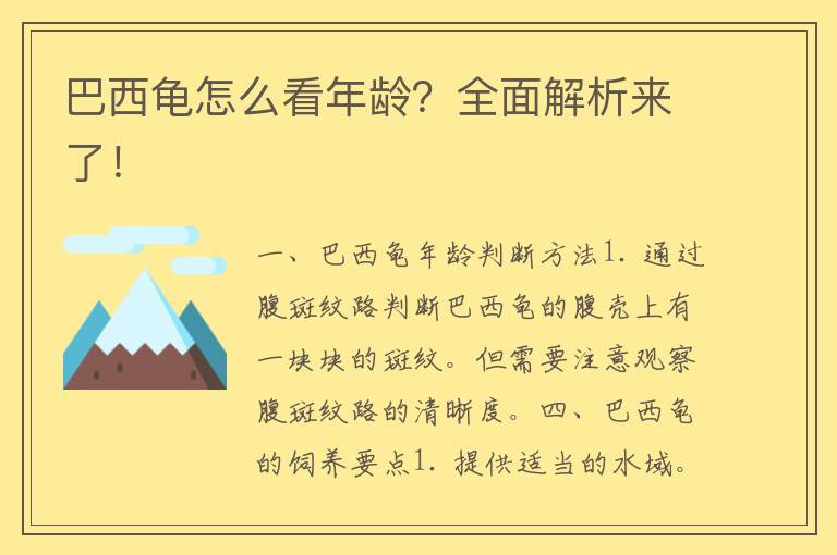 巴西龟怎么看年龄？全面解析来了！