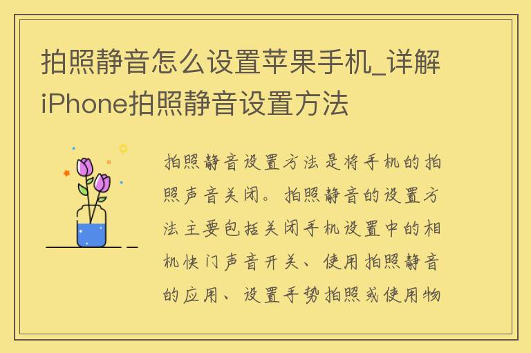 拍照静音怎么设置苹果手机_详解iPhone拍照静音设置方法