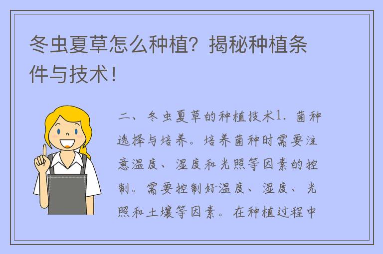 冬虫夏草怎么种植？揭秘种植条件与技术！