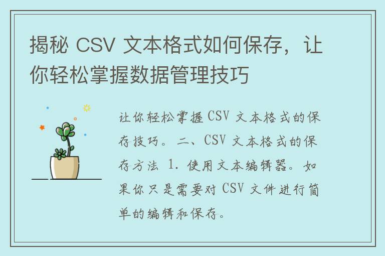 揭秘 CSV 文本格式如何保存，让你轻松掌握数据管理技巧