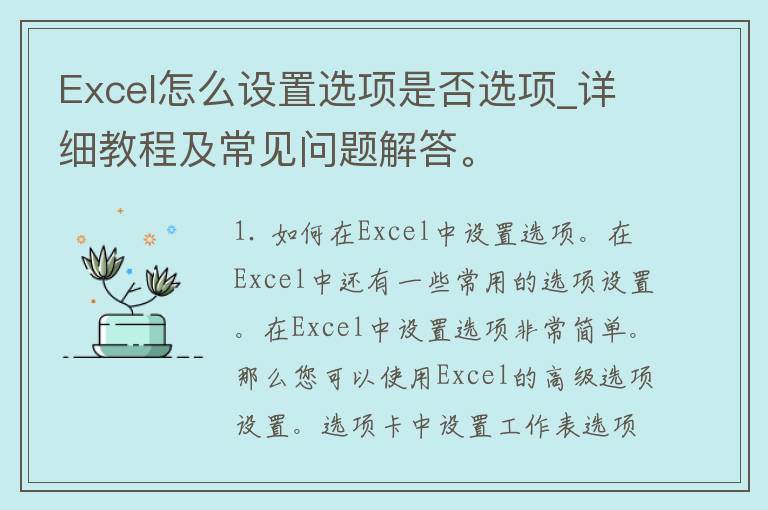 Excel怎么设置选项是否选项_详细教程及常见问题解答。