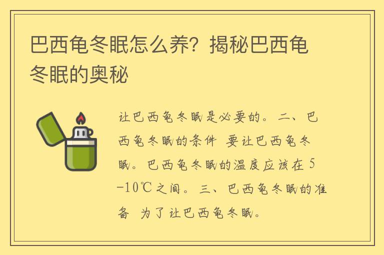 巴西龟冬眠怎么养？揭秘巴西龟冬眠的奥秘