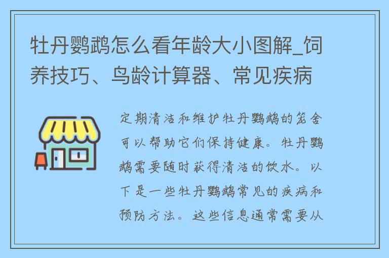 牡丹鹦鹉怎么看年龄大小图解_饲养技巧、鸟龄计算器、常见疾病预防。