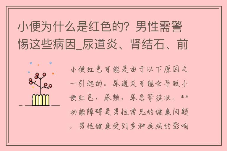 小便为什么是红色的？男性需警惕这些病因_尿道炎、肾结石、前列腺炎。