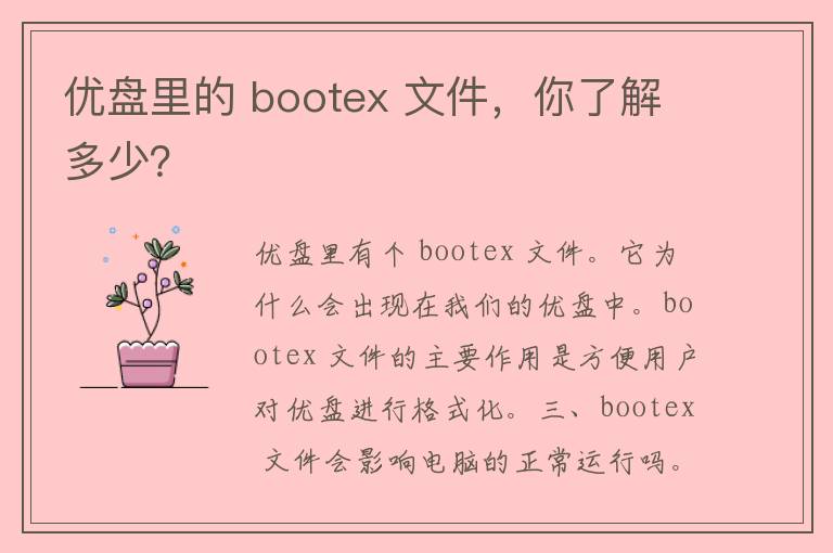 优盘里的 bootex 文件，你了解多少？