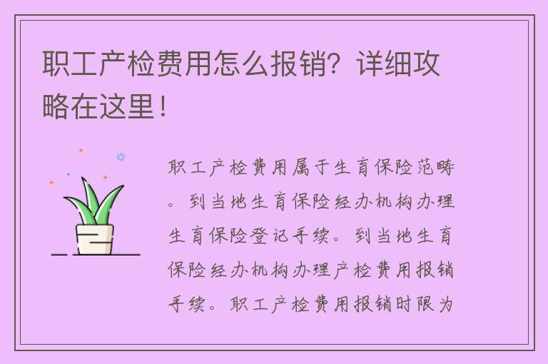 职工产检费用怎么报销？详细攻略在这里！