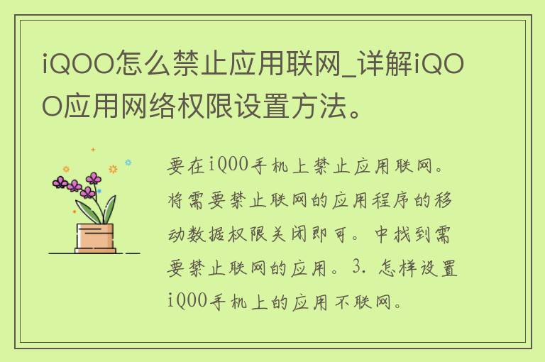 iQOO怎么禁止应用联网_详解iQOO应用网络权限设置方法。