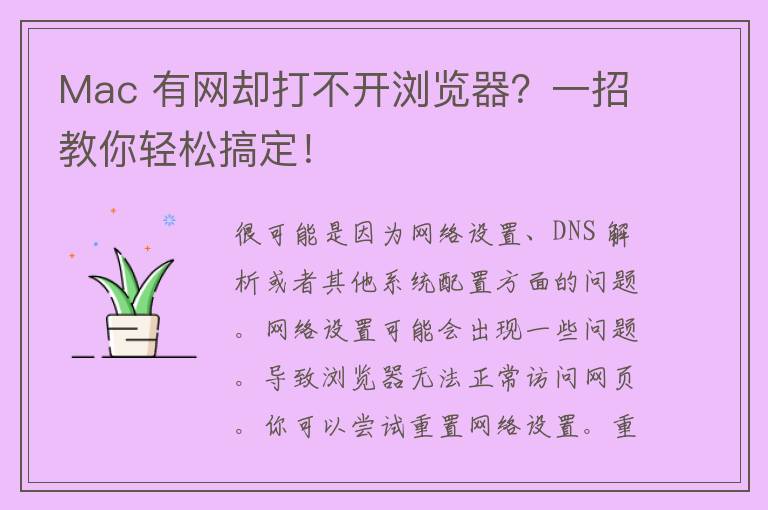 Mac 有网却打不开浏览器？一招教你轻松搞定！