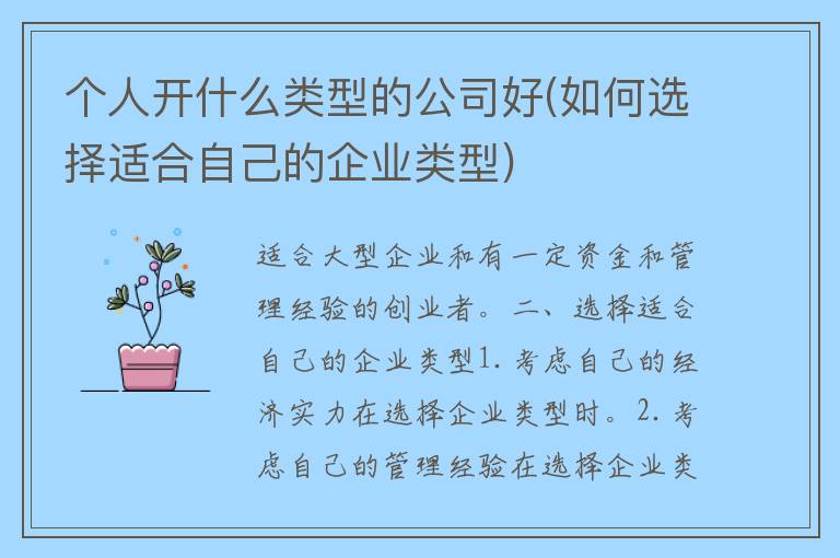 个人开什么类型的公司好(如何选择适合自己的企业类型)