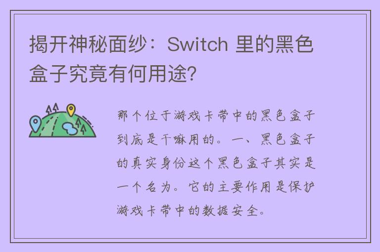 揭开神秘面纱：Switch 里的黑色盒子究竟有何用途？