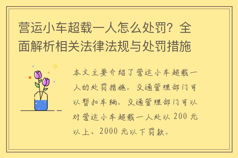 营运小车超载一人怎么处罚？全面解析相关法律法规与处罚措施