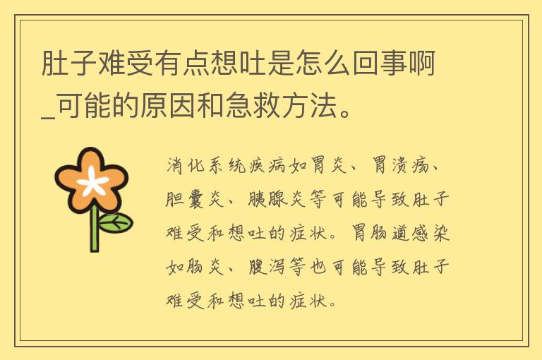 肚子难受有点想吐是怎么回事啊_可能的原因和急救方法。