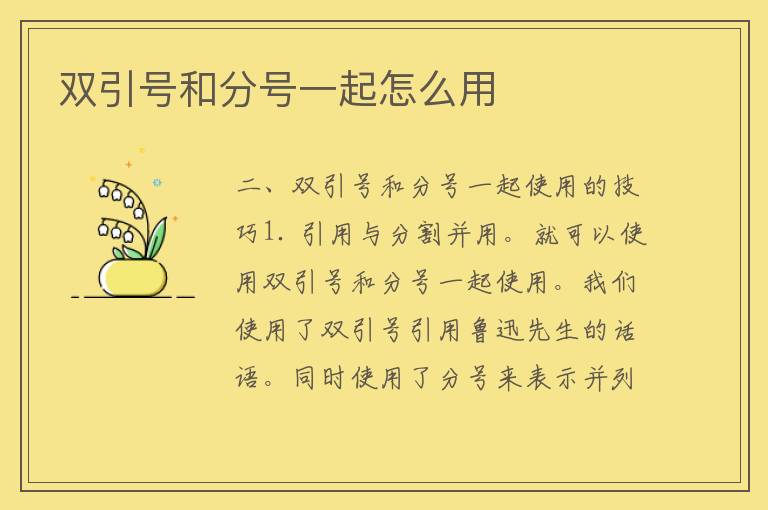 双引号和分号一起怎么用