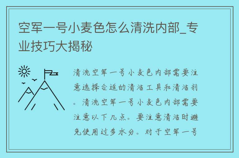 空军一号小麦色怎么清洗内部_专业技巧大揭秘