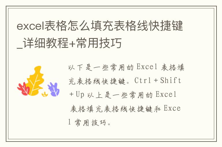 excel表格怎么填充表格线快捷键_详细教程+常用技巧