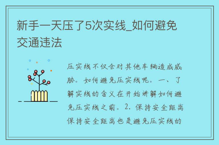 新手一天压了5次实线_如何避免交通违法