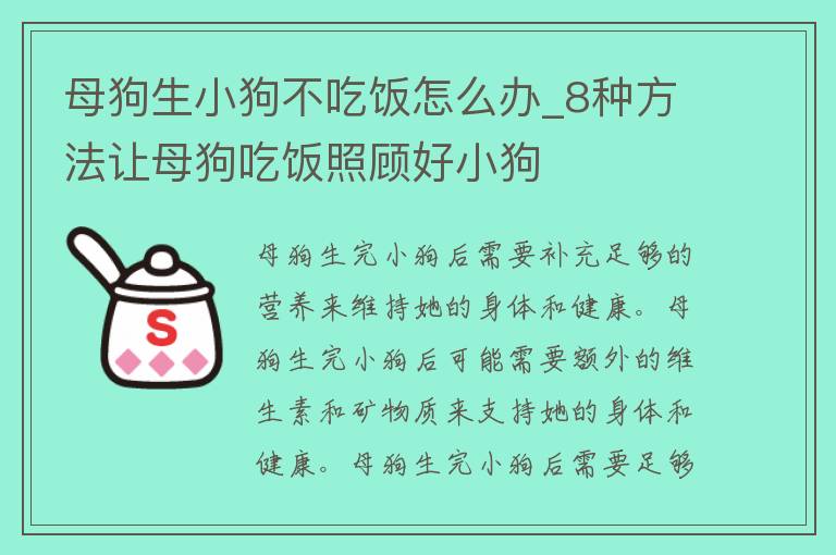 母狗生小狗不吃饭怎么办_8种方法让母狗吃饭照顾好小狗