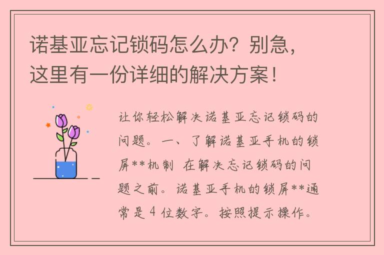 诺基亚忘记锁码怎么办？别急，这里有一份详细的解决方案！