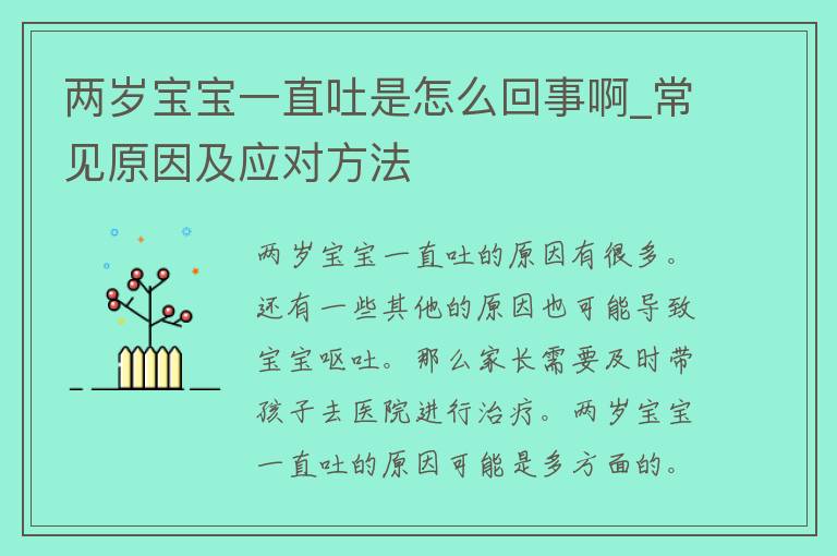 两岁宝宝一直吐是怎么回事啊_常见原因及应对方法