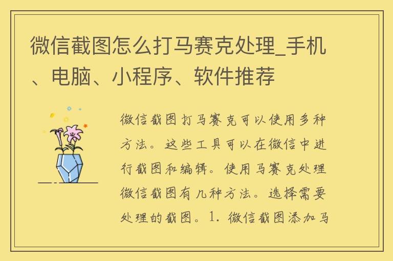 微信截图怎么打马赛克处理_手机、电脑、小程序、软件推荐