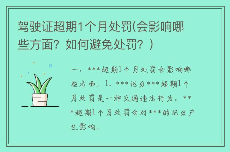 ***超期1个月处罚(会影响哪些方面？如何避免处罚？)