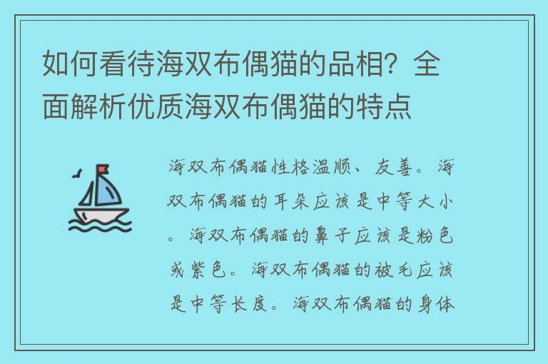 如何看待海双布偶猫的品相？全面解析优质海双布偶猫的特点